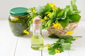 Infusioak eta belarra