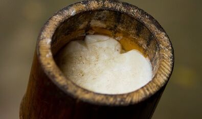 garatxoak tratatzeko te zuhaitzaren olioa